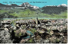 STEINEN Blick auf Lowerzersee SZ um 1920!