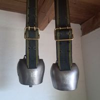 2 × TOP FIRMANN TREICHELN 