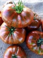 30 Samen CHOCOLATE STRIPES Tomate