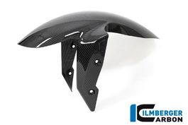 Carbon Kotflügel vorne BMW R 1250 R / R 1250 RS