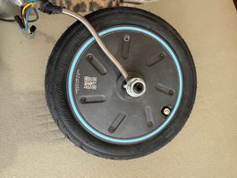 Original 350W Replacement Motor for Ninebot