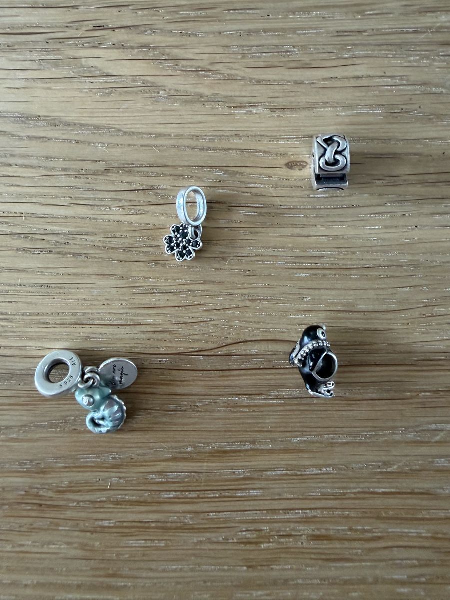 Pandora Ciondoli: Pandora Charms – Usato da Schaffhausen venduto da andrea_monica