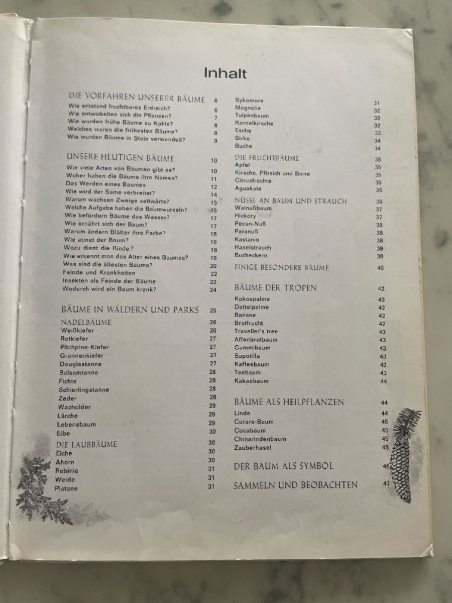 Libri: WAS IST WAS, Bäume – Usato da Thun venduto da bue_59vc 1