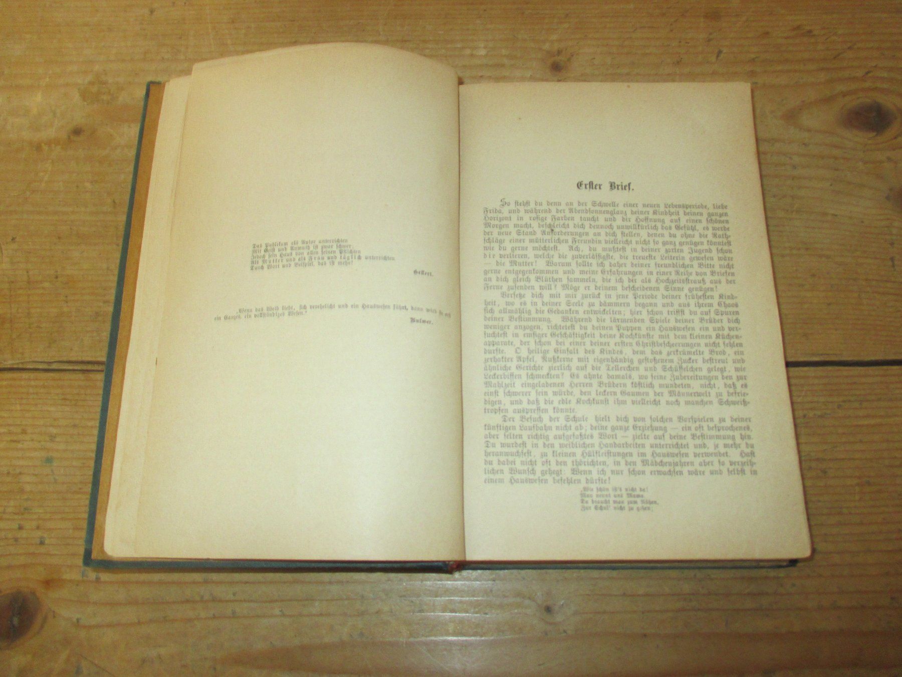 Libri: "Das Hauswesen" von 1880 – Usato da Flims - Dorf venduto da Stagediver 1