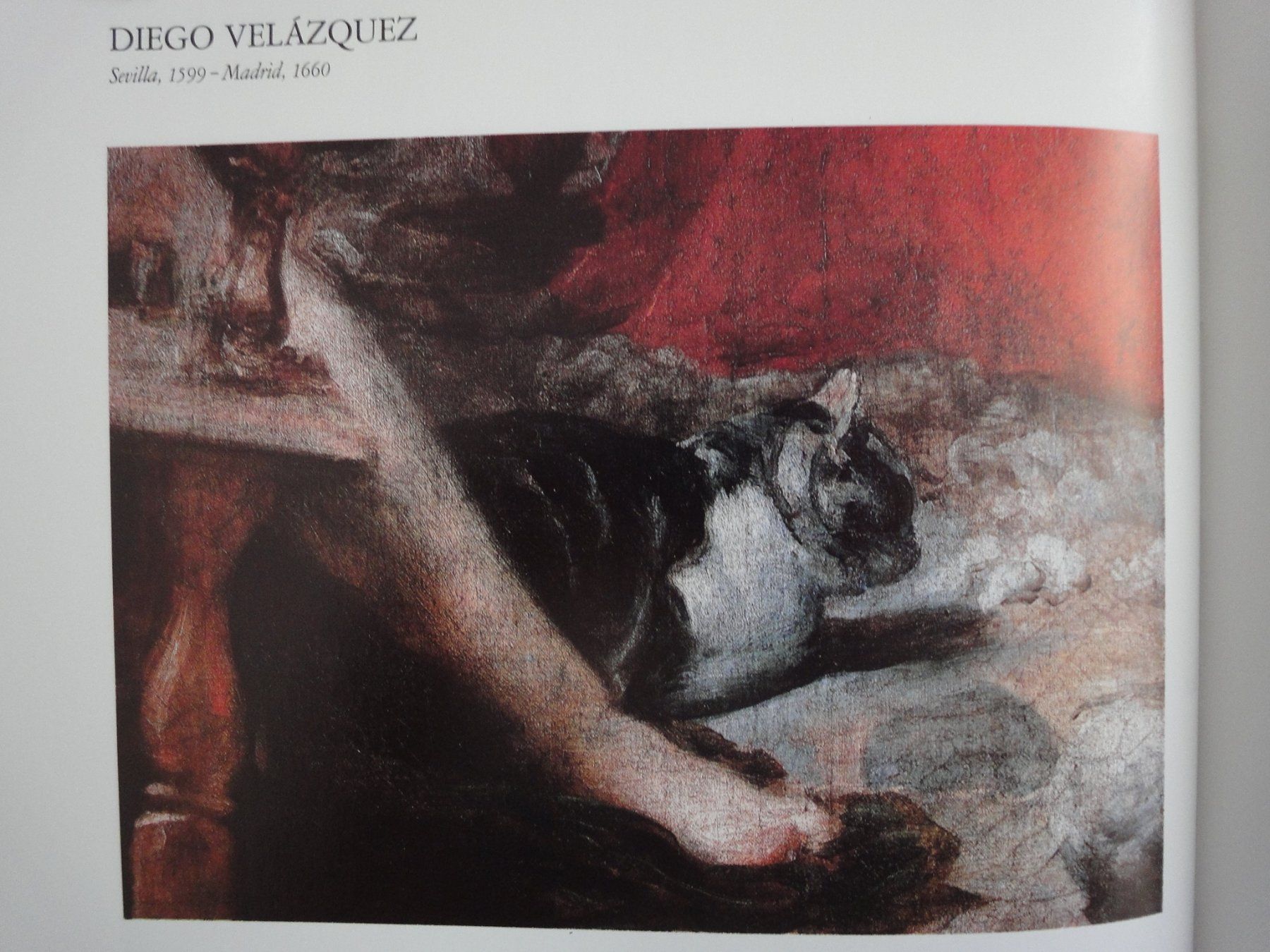 Libri: Die Maler und die Katzen / Foucart-Walter, E. – Nuovo (secondo la descrizione) da Biel/Bienne venduto da 07helios032 2