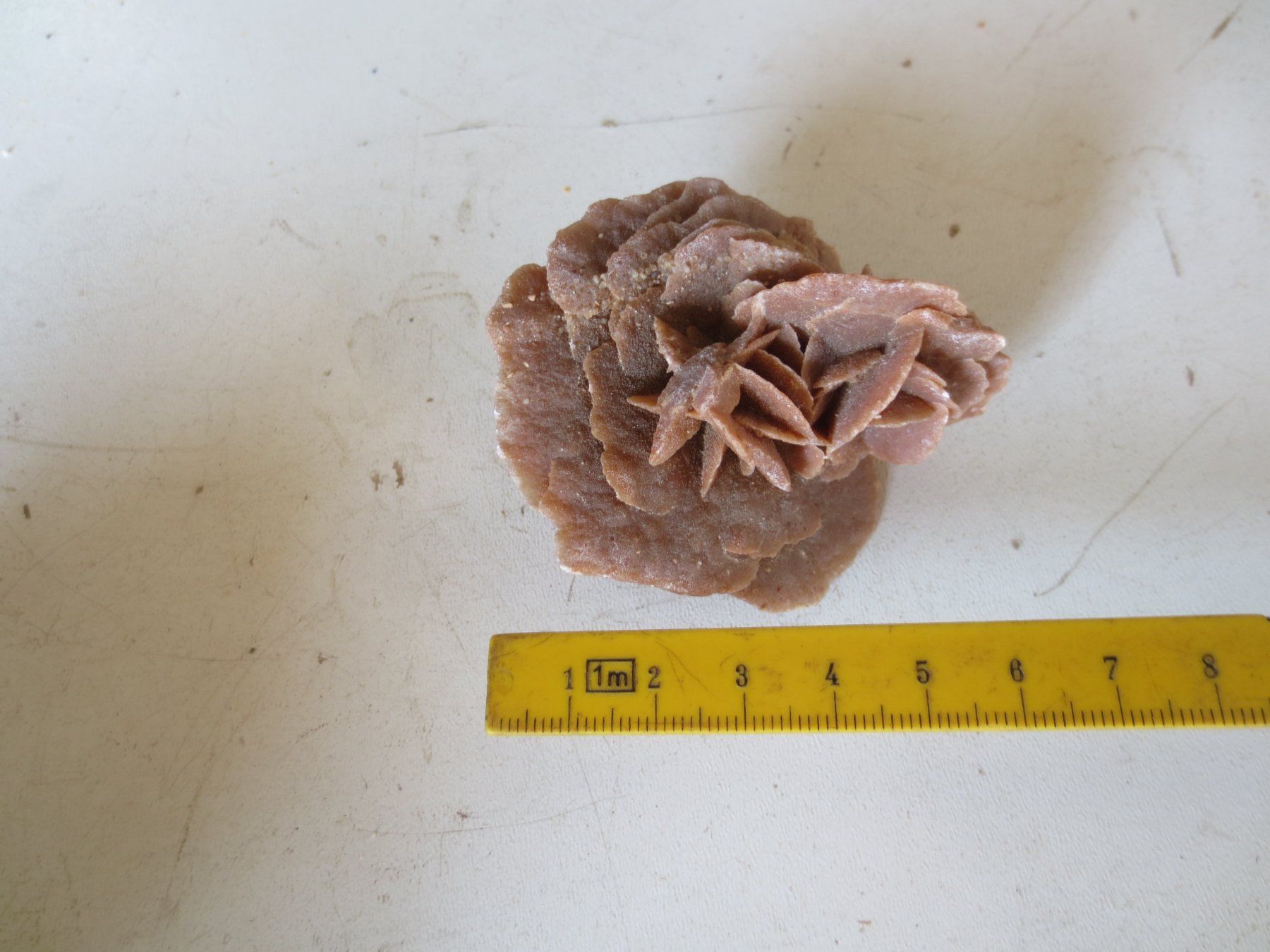 Mineralien & Heilsteine: Sandrose – Neu (gemäss Beschreibung) aus Weier im Emmental von waefler03 2