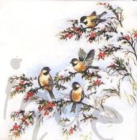Serviette shophy's birds 25x25 (w358) 2Stk.