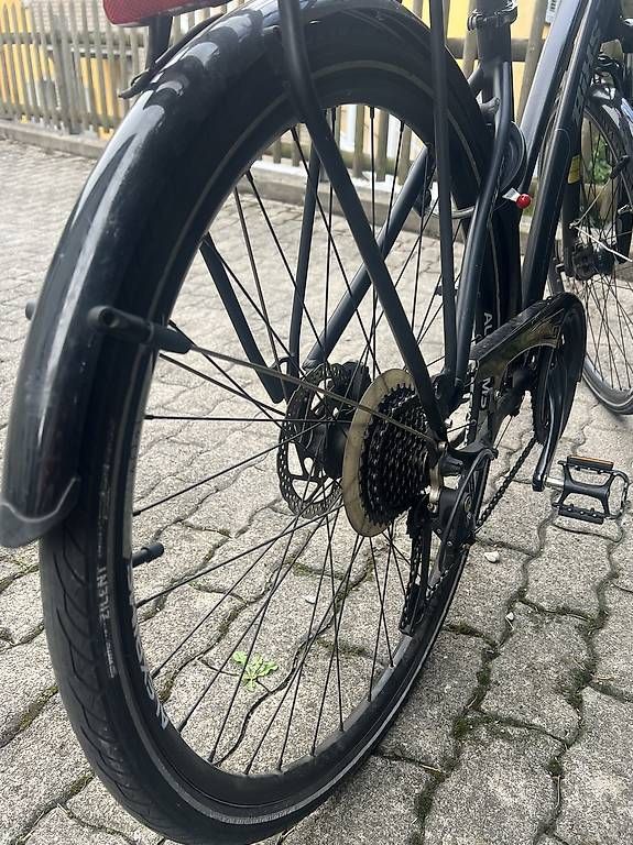 Biciclette: BIXS Damenvelo  – Usato da Chur venduto da PineApplePen 4
