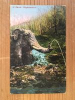 AK Zürich, Elephantenbach