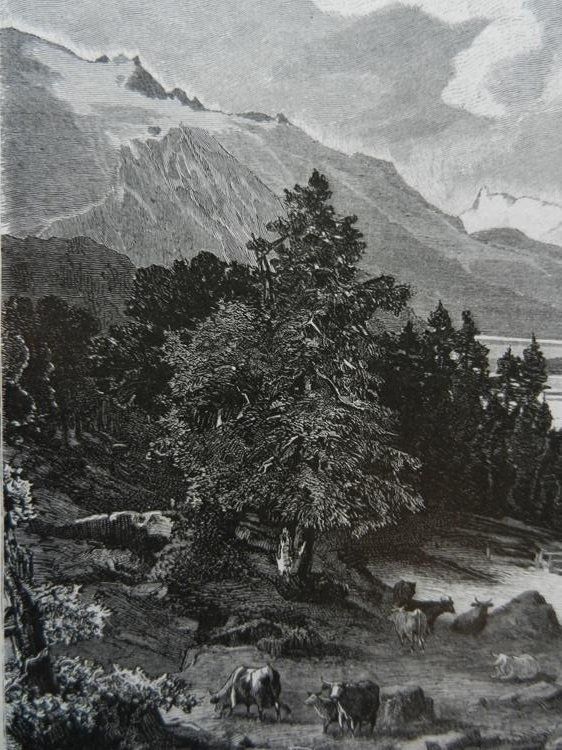 Incisioni: Meierei Alpina bei St.Moritz – Usato da Risch venduto da Rischli15 3