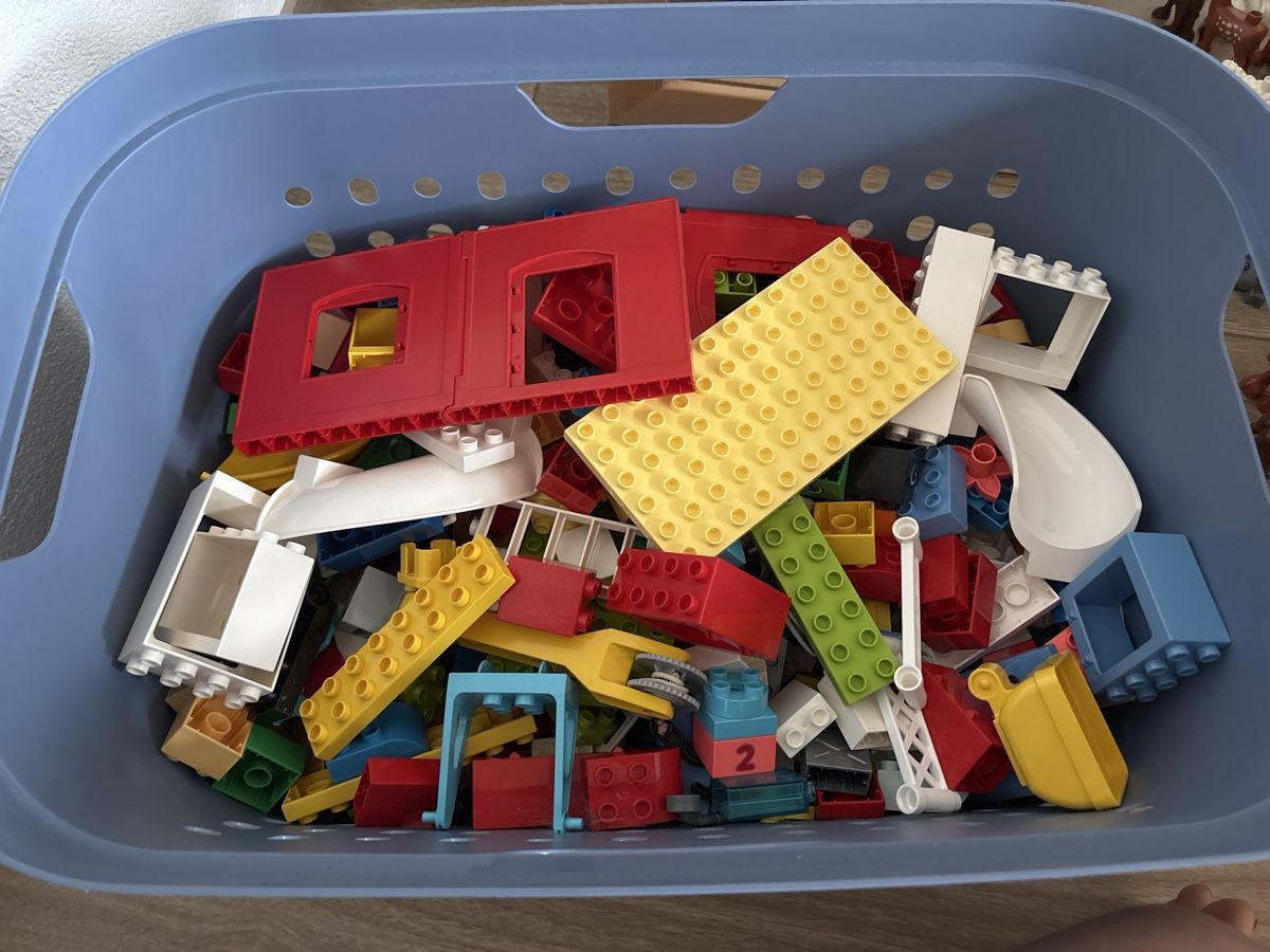 Lego Giocattoli: Lego Duplo Allerlei – Usato da Oberriet SG venduto da melaja