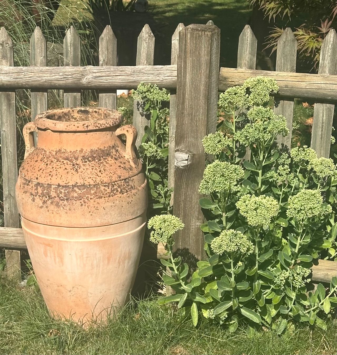 Pots de fleurs: Amphore Terracotta,  winterhart – D'occasion à Winterthur par BaHu