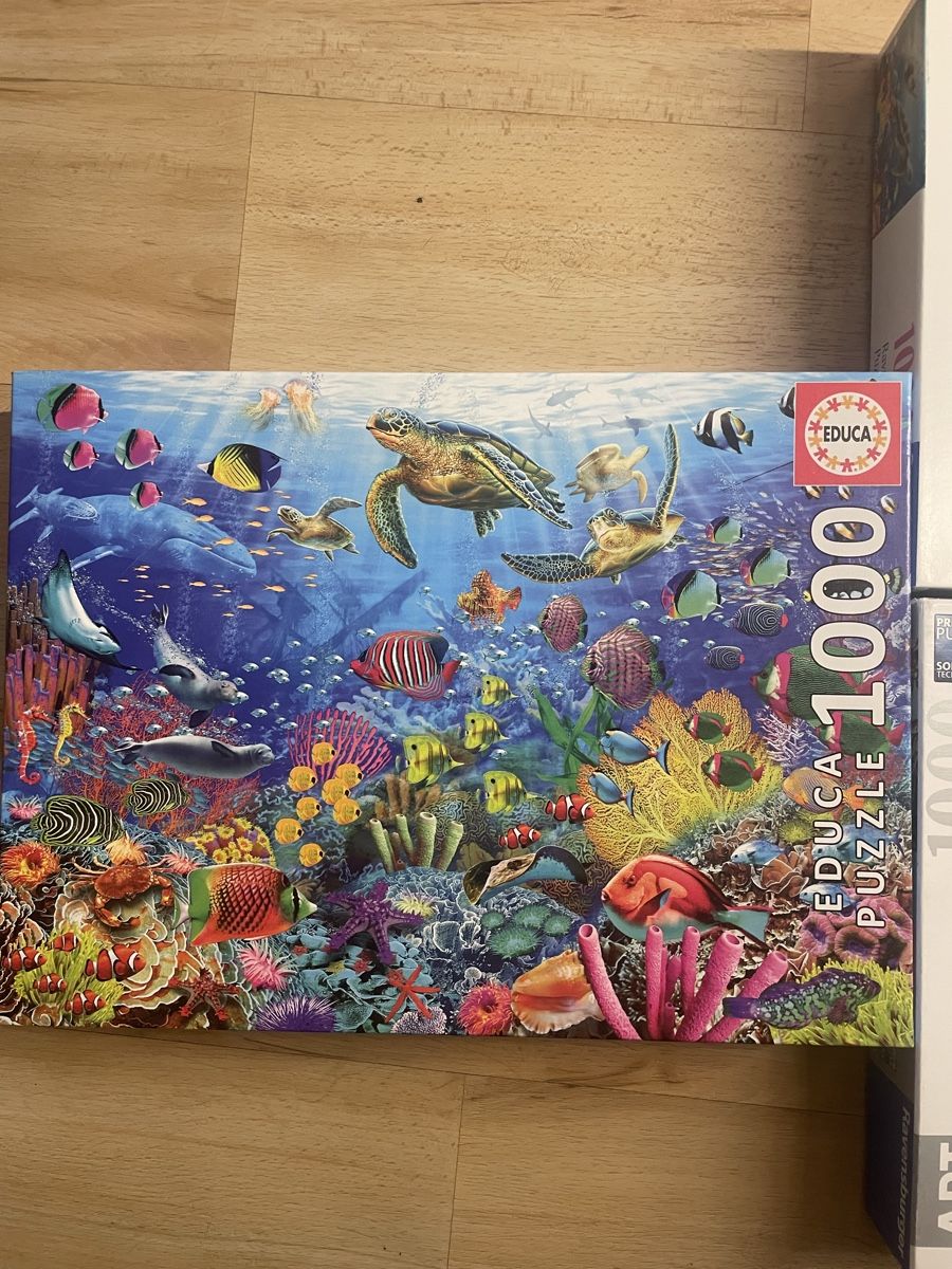 Ravensburger Puzzles: Puzzles Ravensburger & Educa 1000 pièces, comme neuf! 48 – Neu (gemäss Beschreibung) aus Crissier von Nouchki76 1