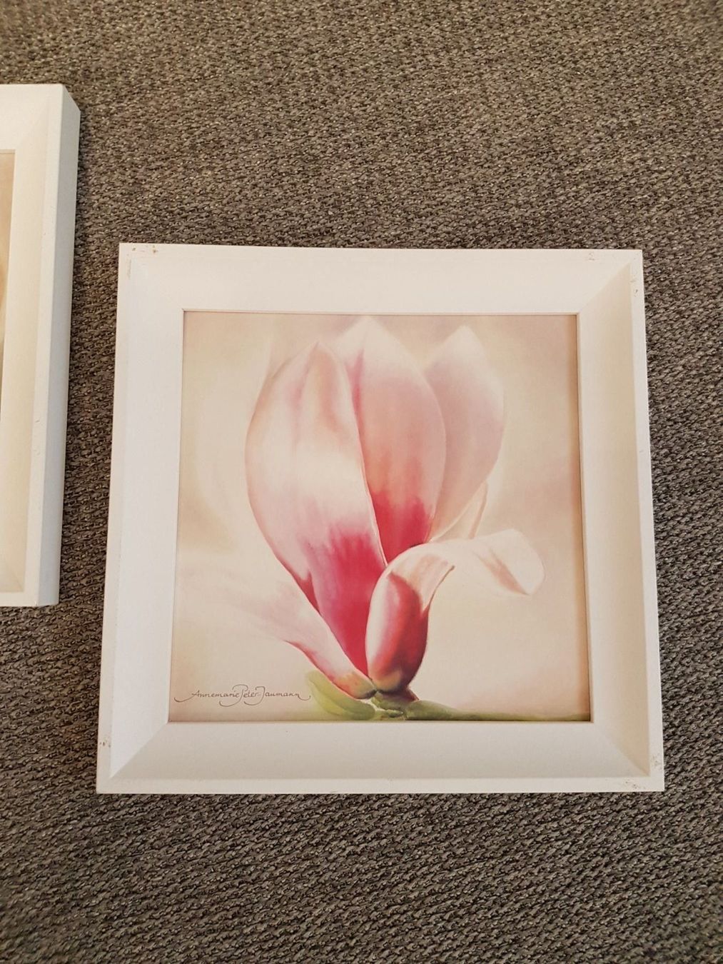 Posters & Illustrations: 2 Blumenbilder – D'occasion à Rafz par Mattimau 1