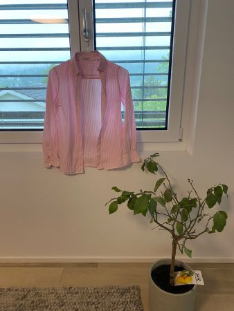 Massimo Dutti pink stripes button shirt 38
