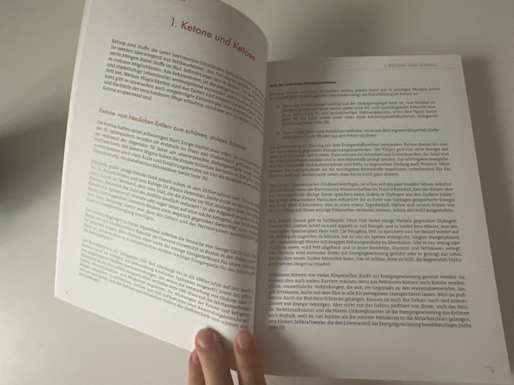 Libri: Der Keto-Kompass - Ulrike Gonder – Usato da Schwarzenburg venduto da mezulienka 4