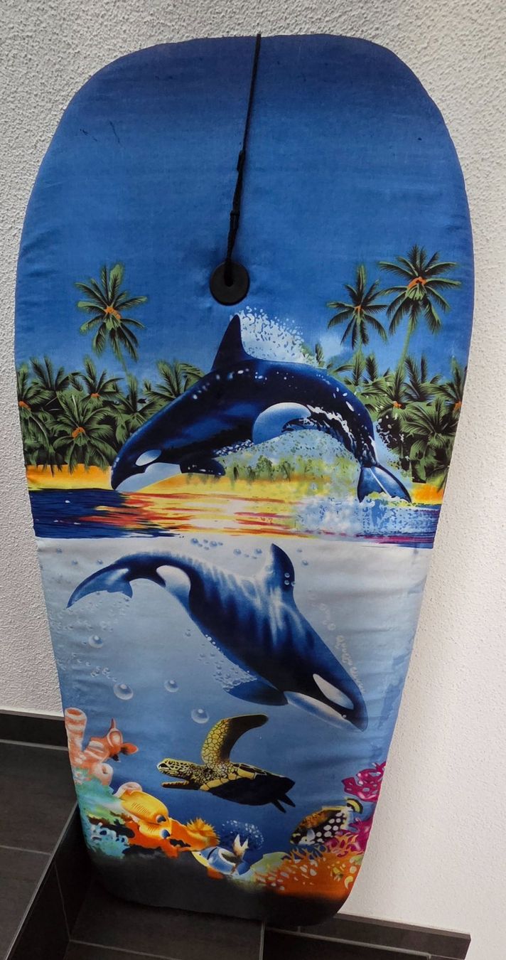 Spielzeuge: Kinder Brett fürs Wasser – Gebraucht aus Wauwil von oeh_5zcb