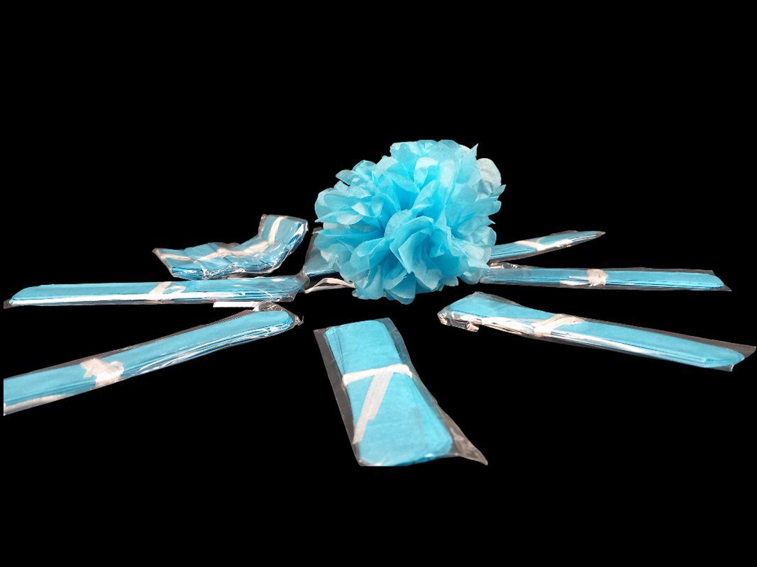 Alle Dekorationen: Papier Pompons blau 12 Stück – Neu und originalverpackt aus Hünenberg von Restwert_Zug 2