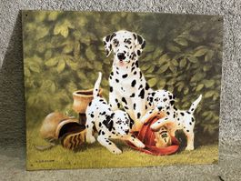 Dalmatiner hunde
