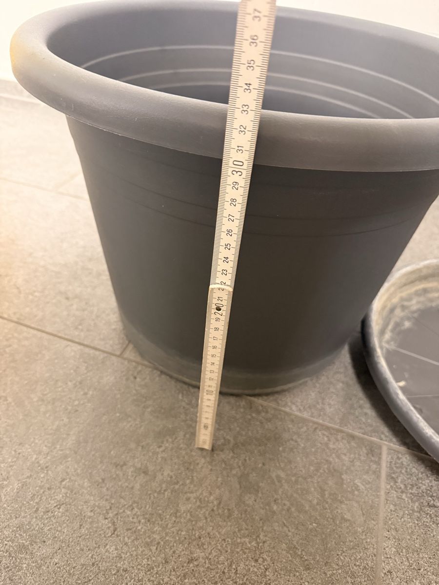 Blumentöpfe: grauer Blumentopf 37, Top Zustand! – Gebraucht aus Pfaffhausen von Beli94 1