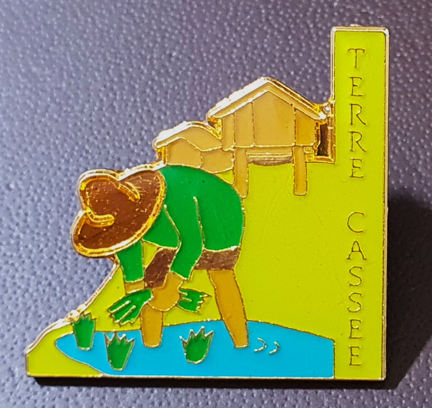 Placchette & Badge: R697 - Pin Terre Cassee – Usato da Reinach BL venduto da Boston-Verkauf