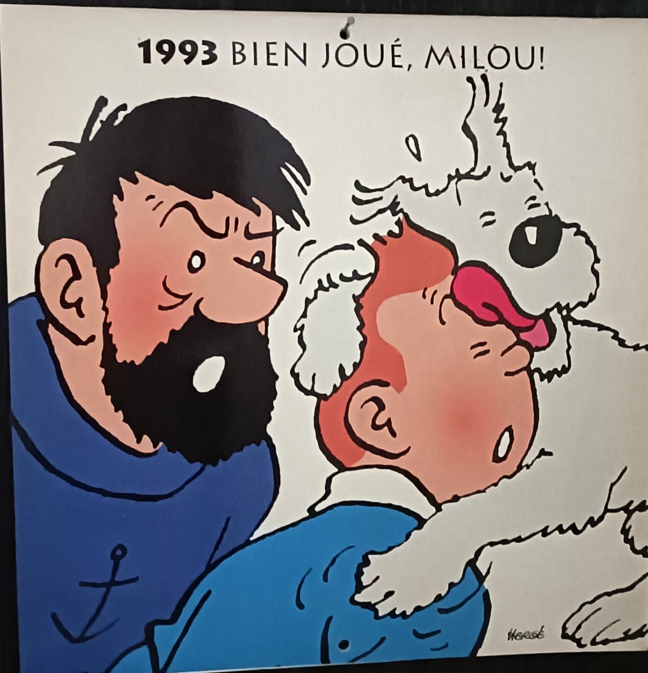 Calendari: Tintin, Calendrier 1993, – Nuovo (secondo la descrizione) da Evilard venduto da mic_yp8t