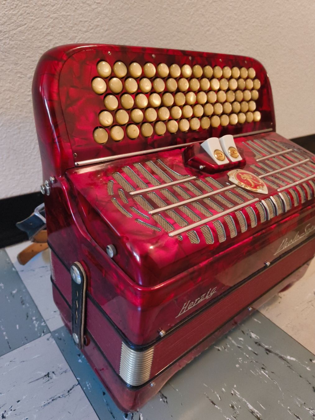 Paolo Soprani Strumenti musicali: Handorgel Herzig Paolo Soprani – Usato da stettlen venduto da VintageBern_ch 5