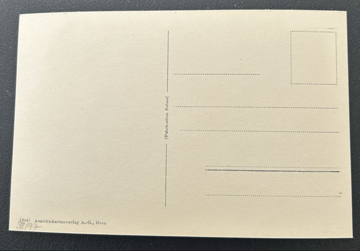 Cartoline postali: Fotokarte Lerchenfeld bei Thun  – Usato da Horw venduto da Tellbub 1