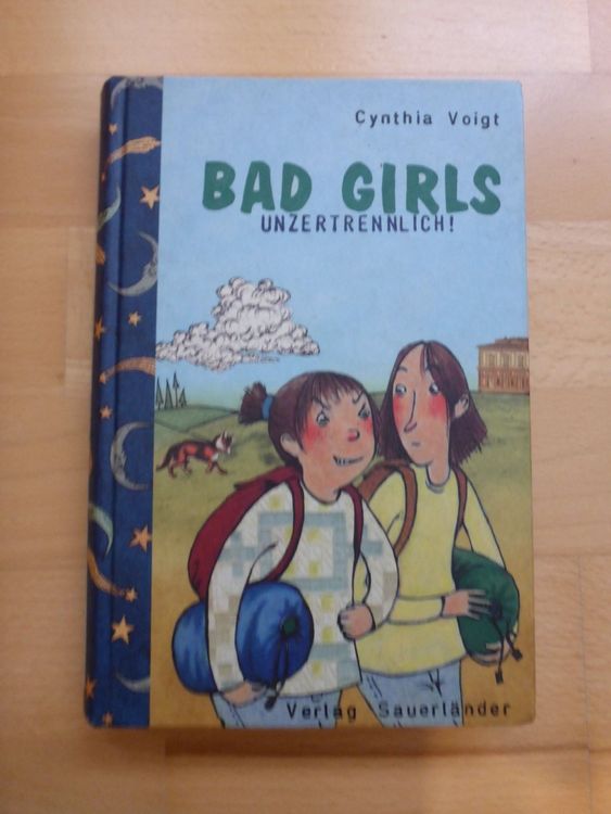 Bad Girls buch 1