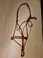 Knotenhalfter Kaltblut