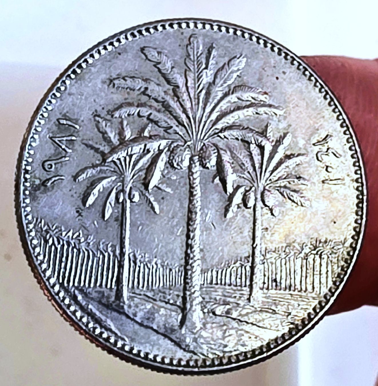 Tutti le monete: IRAK 50 FILS 1401/1981 – Usato da winterthur venduto da CoinPassion