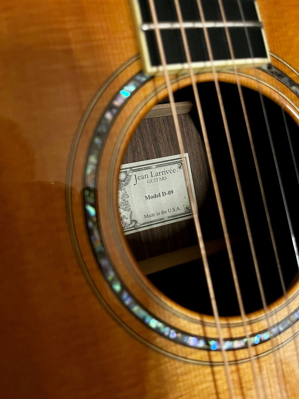 Larrivée Strumenti musicali: Larrivée D-09 Rosewood Dreadnought – Usato da Glattfelden venduto da SML64 5