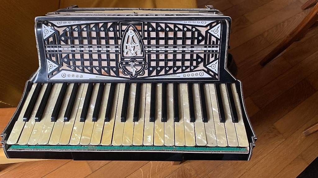 Strumenti musicali: Fisarmocnica – Usato da Airolo venduto da Truzz