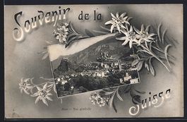 Passepartout-AK Sion, Vue generale, Edel