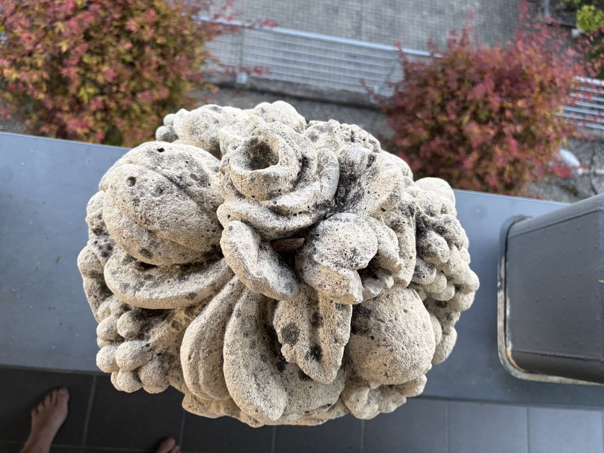 Tutte le decorazioni: Massive Stein-Früchteschale / Gartendekoration – Usato da Untersiggenthal venduto da Levin86 4