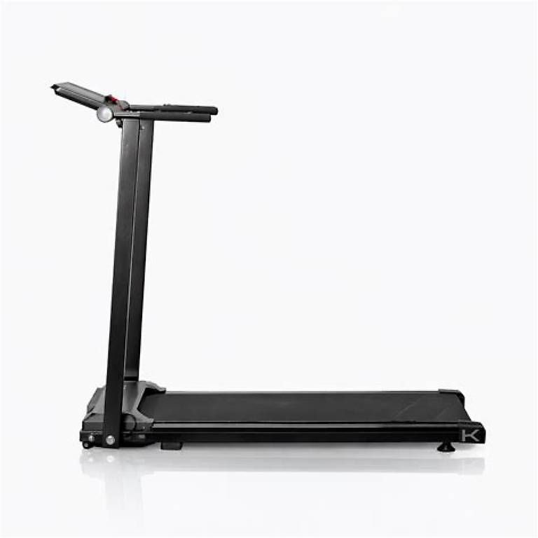 Hometrainer: Kuipers R4 Laufband – Nuovo (secondo la descrizione) da Biel/Bienne venduto da nurrund