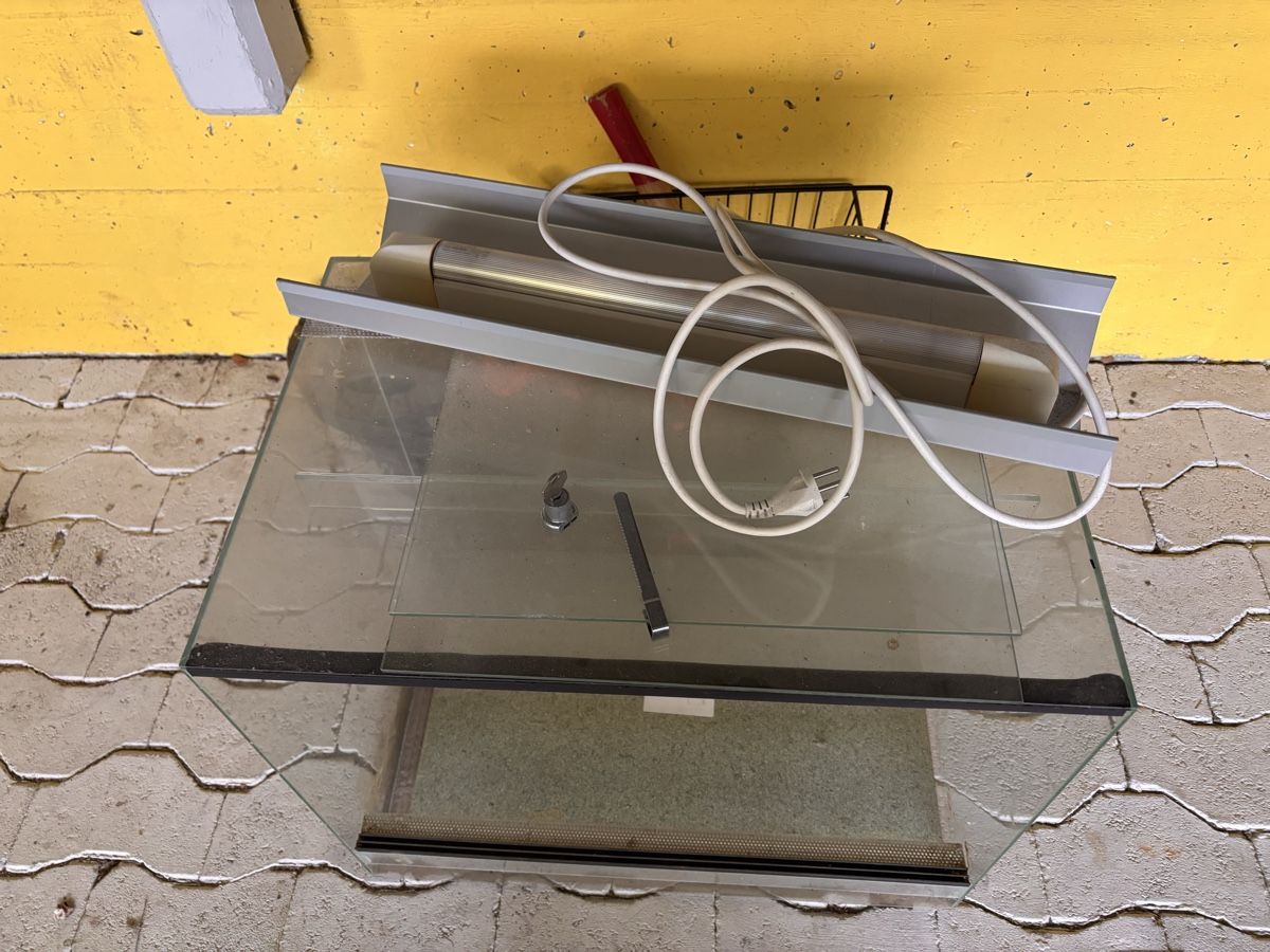 Terrarium: Terrarium Glas mit Beleuchtung gebraucht 50cm – Gebraucht aus Kirchdorf AG von reb_l8ly 1