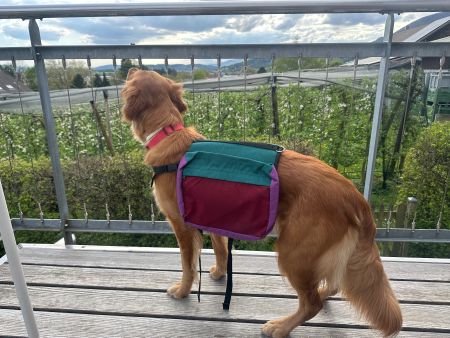Hunderucksack Starlight von Sport Keller, fast nie gebraucht