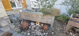 Hochbeet Holz Metall gebraucht ab Platz Sehr Hochwertig!!! 
