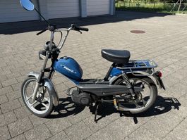Pony GTX