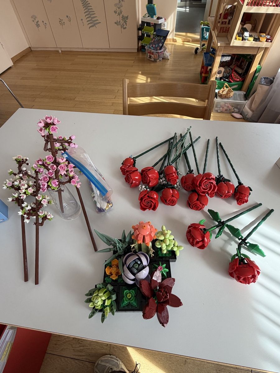 Lego Giocattoli: Lego Botanicals Diverse Blumen Set – Nuovo (secondo la descrizione) da Zürich venduto da powrpff