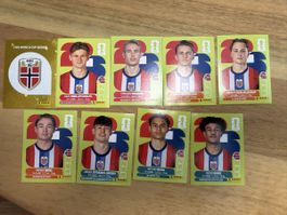 Panini FIFA World Cup 2026 Norwegen Sticker 9 Stk