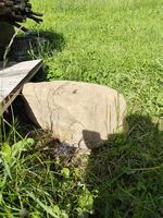 Sassi per decorazione giardino