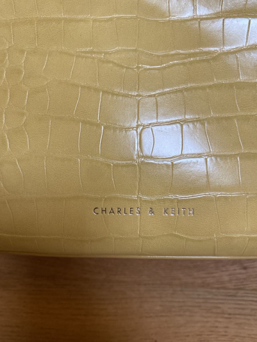 Taschen für Damen: Charles & Keith Tasche – Gebraucht aus Wetzikon ZH von purple_44 2