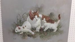 Busdee "Katzen" Gemälde