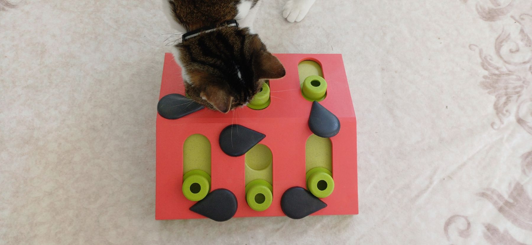 Jouets: Intelligenzspielzeug – D'occasion à Kriens par Nikamii 4