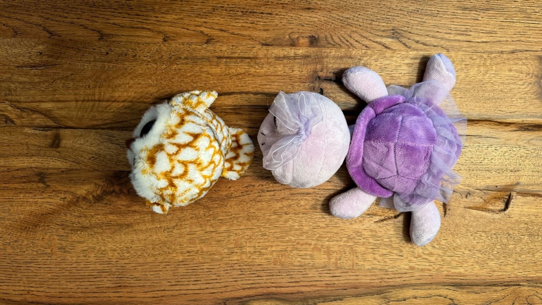Giocattoli: Plüschtier Schildkröte Twirly und Eule – Usato da Rothenburg venduto da Disney3 3