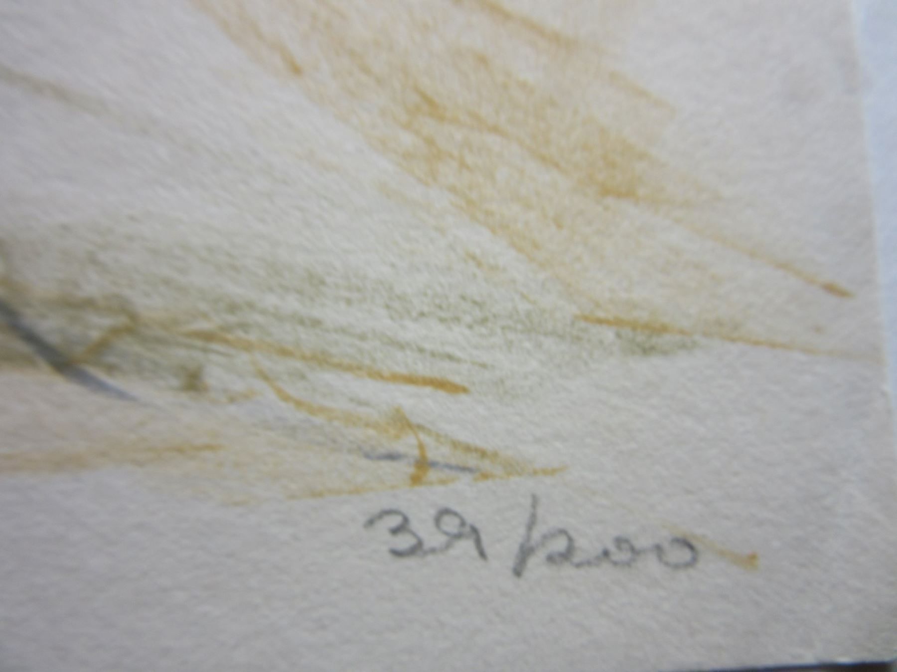 Grafica & Litografie: HANS GMÜNDER LITHOGRAPHIE SIGNIERT NUMMERIERT – Usato da Gersau venduto da grafik-kunst 2