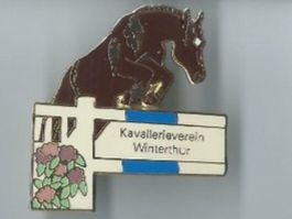 Kavallerieverein Winterthur, Pin