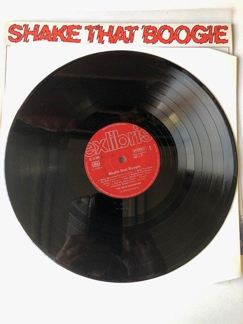 Dischi in vinile: The Mojo Bluesband – Usato da Aarwangen venduto da Jukebox3 5
